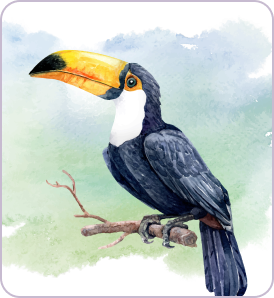 Water Color Img