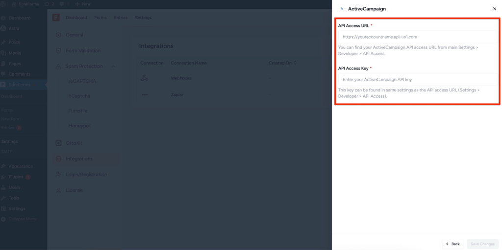 Enter your API Access URL and API Access Key.